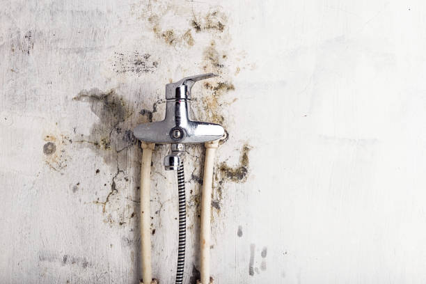 Best HVAC Mold Remediation in Abingdon, VA