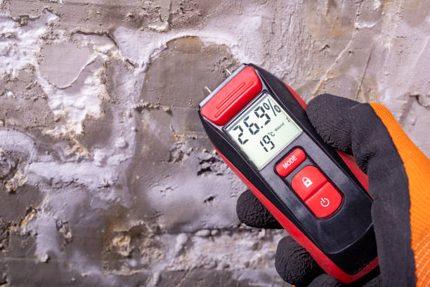 Best Emergency Mold Remediation in Abingdon, VA
