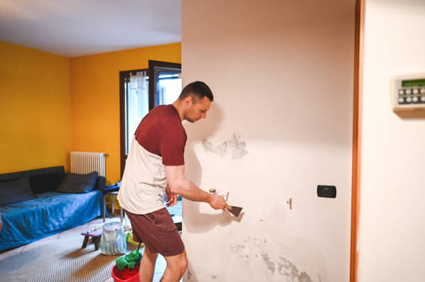 Best Residential Mold Remediation in Abingdon, VA